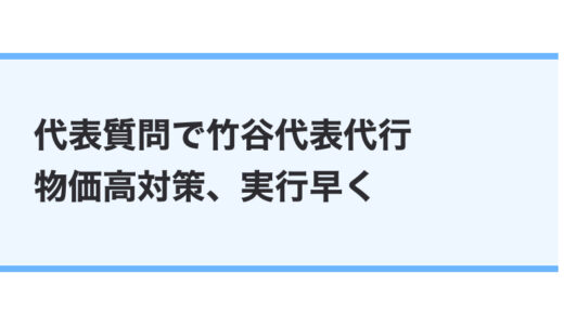 竹谷とし子代表代行　代表質問