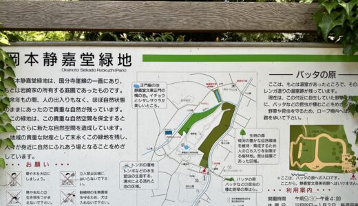 5月4日　みどりの日