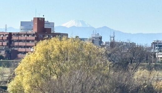 休日・夜間の医療機関